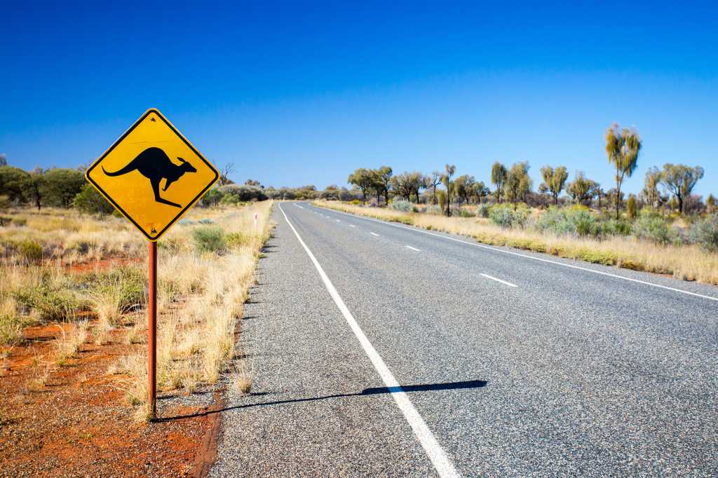 4019646 0 81414200 1754470891 cio australia iconic road sogn kangaroo byfiledimage gettyimages 48202