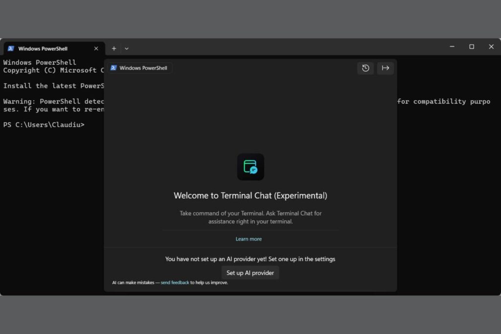 Terminal Chat Canary