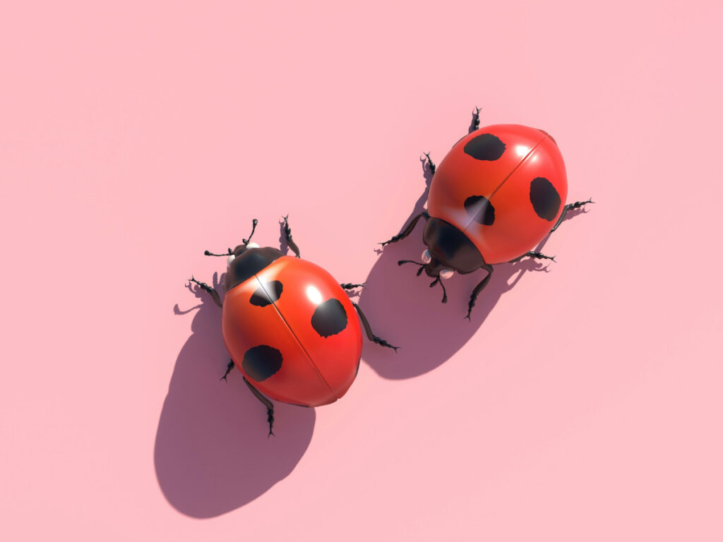 faa6c8f6 allison saeng lkoqa gl3yw unsplash