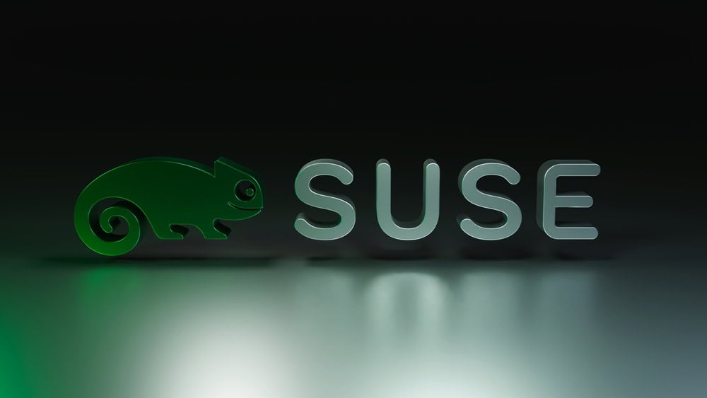 shutterstock 2367478445