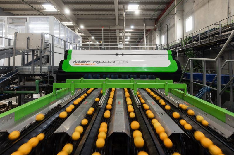 “Enhancing Productivity with FlowMind AI: A Guide to Automation Tutorials” 2 2025.11.03 Nota de Prensa Citricos 1 scaled e1762161567232