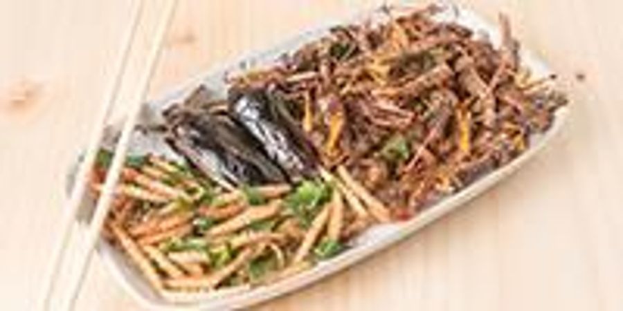 article thumbnail could edible insects help global food security m