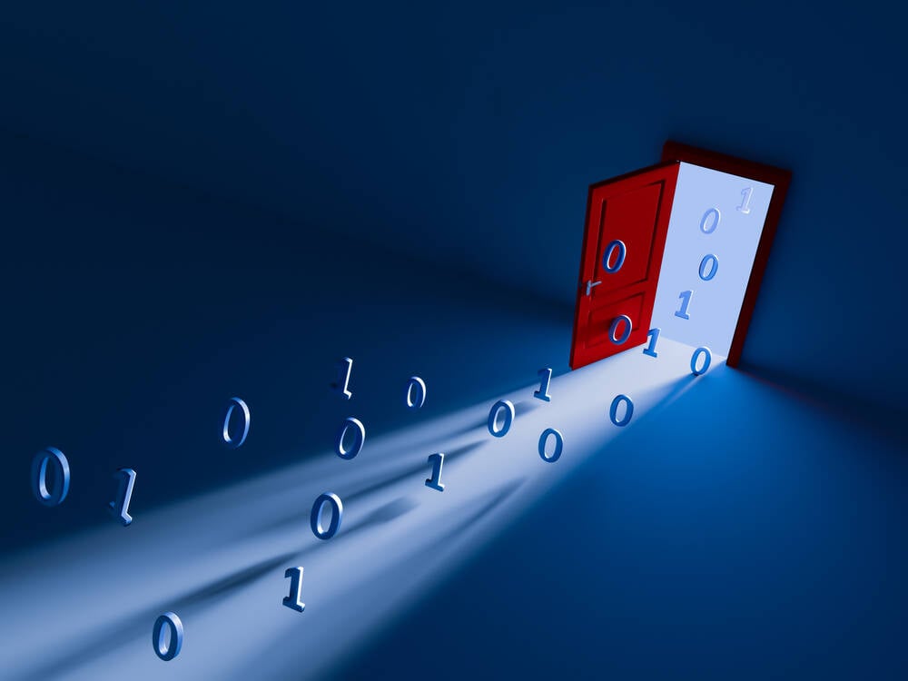 backdoor shutterstock