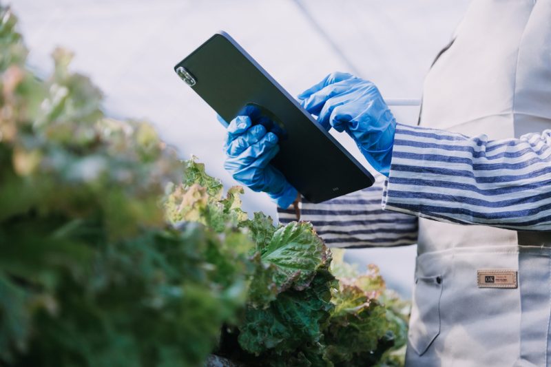 Enhancing Productivity Through FlowMind AI: A Guide to Automation Tutorials 7 sector agroalimentario scaled e1769417524240