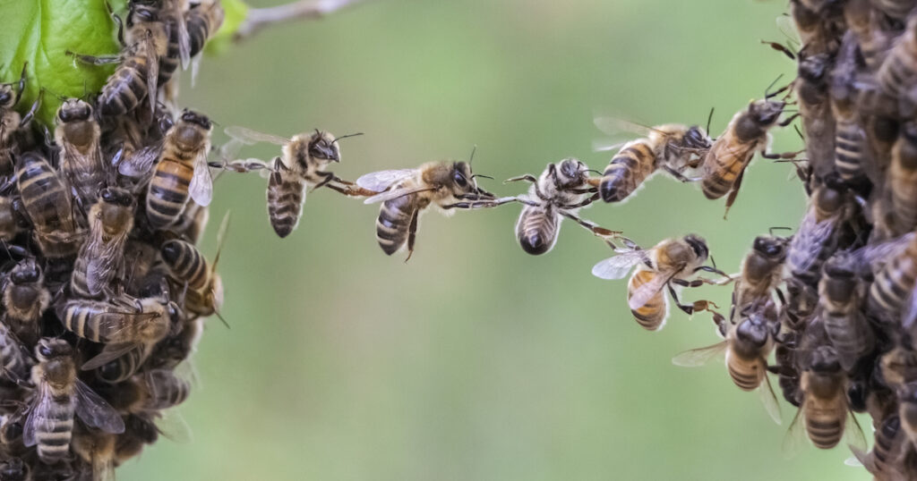 xcode 26 3 agentic coding 1770633530970