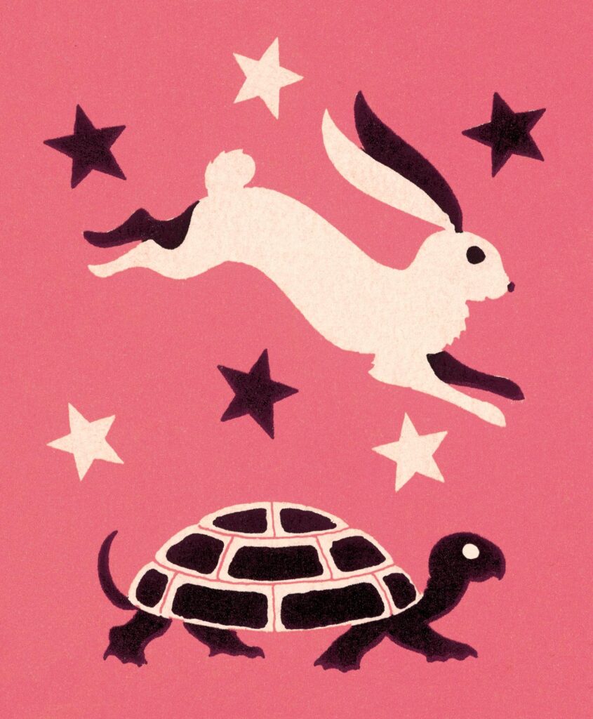 158088661 tortoise and hare