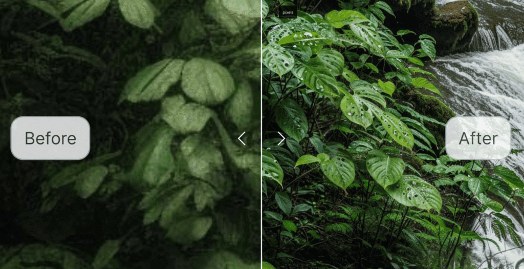 magnific ai upscale image min