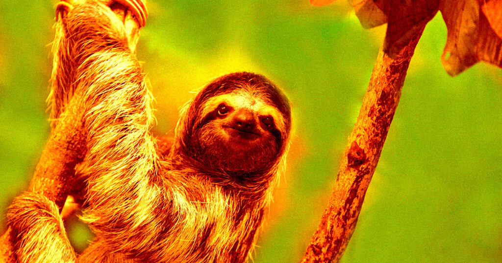 openai patch fix gpt4 laziness